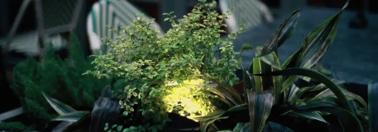 Pot lumineux blanc diffusant une lumière douce autour d'une plante en contexte urbain nocturne