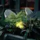 Pot lumineux blanc diffusant une lumière douce autour d'une plante en contexte urbain nocturne